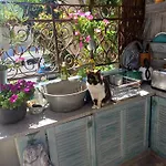 Casaluna, Climatisee Dans Maison De Village * Sotta
