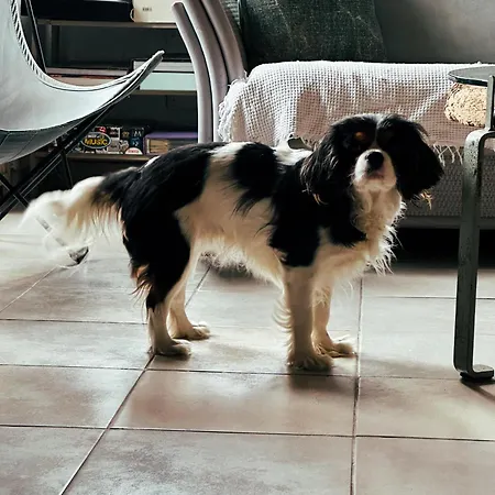 Casaluna, Climatisee Dans Maison De Village 民宿