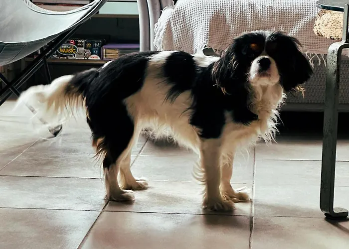 Casaluna, Climatisee Dans Maison De Village בית אירוח