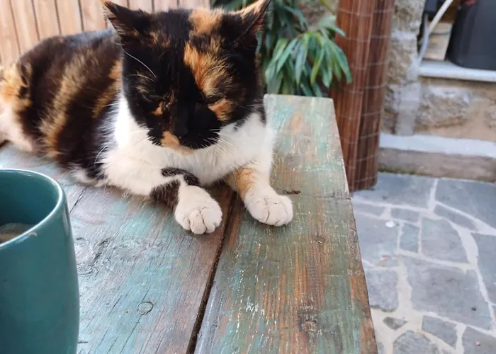 Ubytování v soukromí Casaluna, Climatisee Dans Maison De Village Sotta